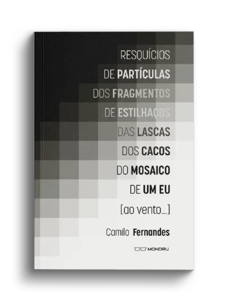 Resquícios de partículas dos fragmentos de estilhaços das lascas dos cacos do mosaico de um eu [ao vento...]