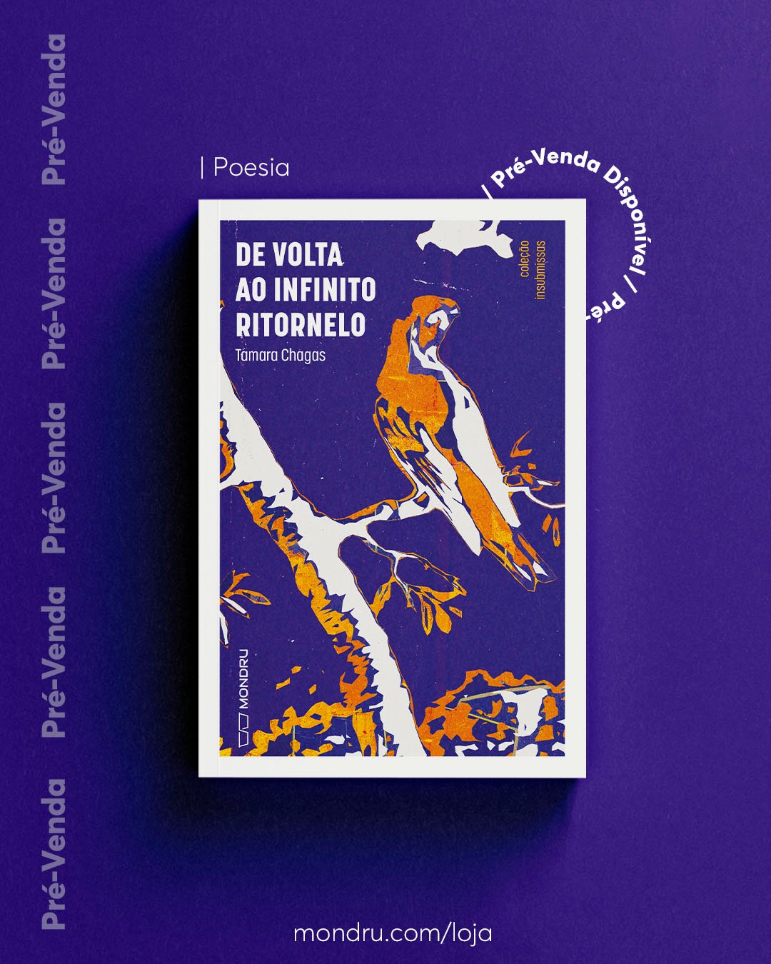 PRE-VENDA - EDITORA - De volta ao infinito ritorneloPrancheta 1