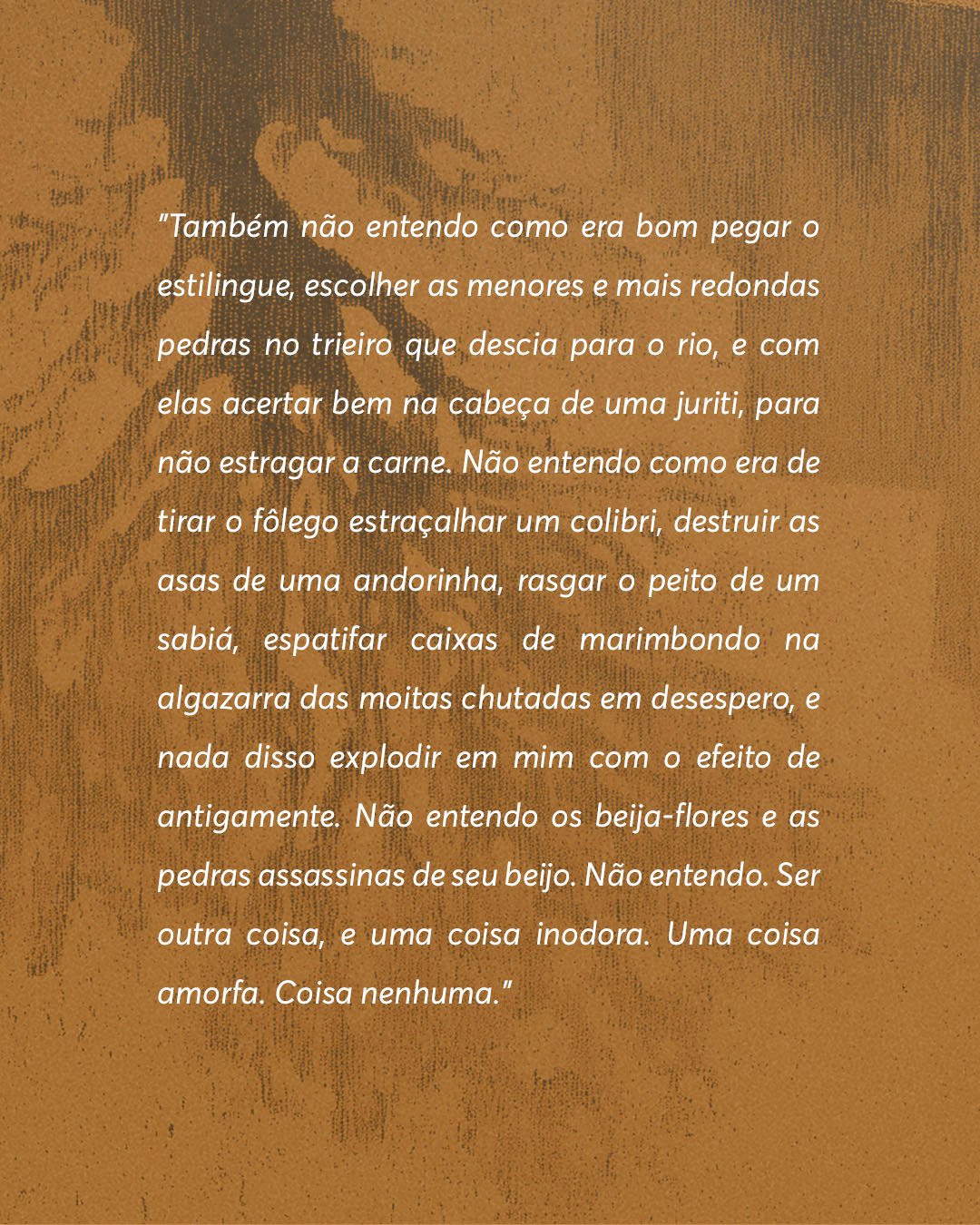 PRE-VENDA - EDITORA - A tarde sem fimPrancheta 5