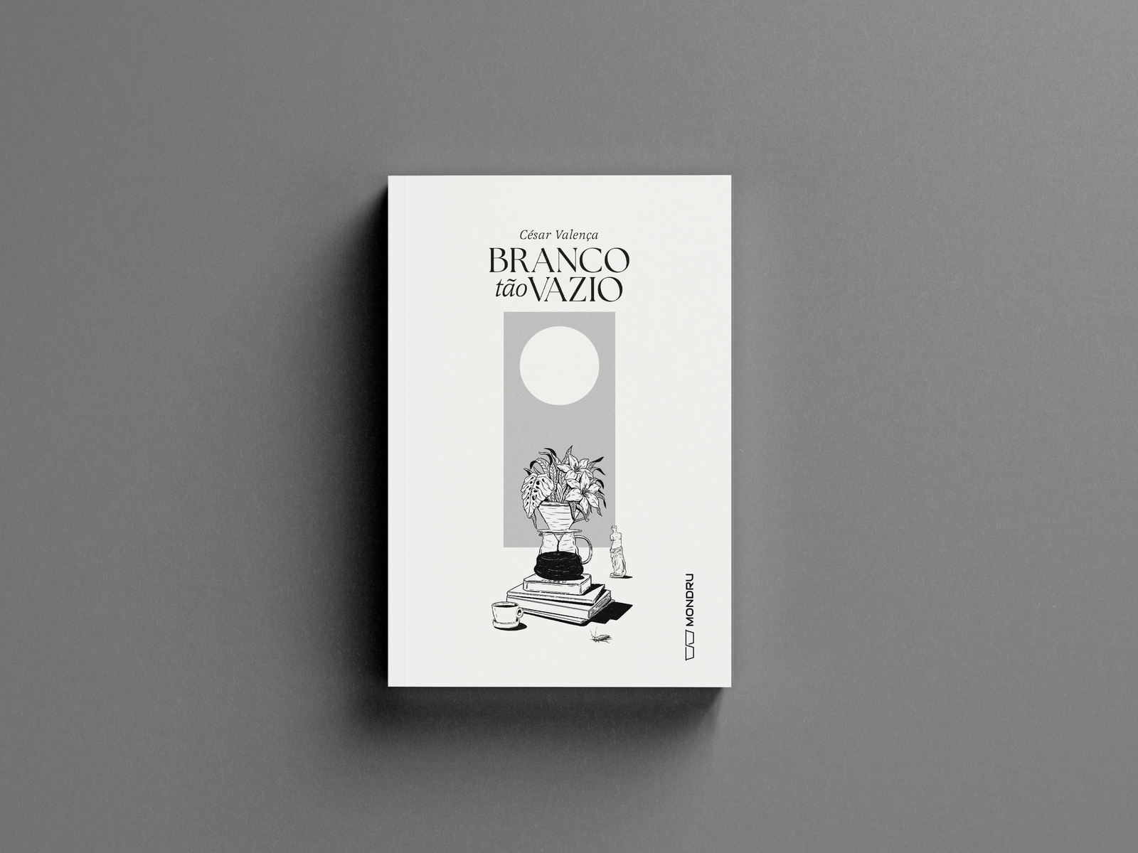 Branco tão Vazio - Imagem 2