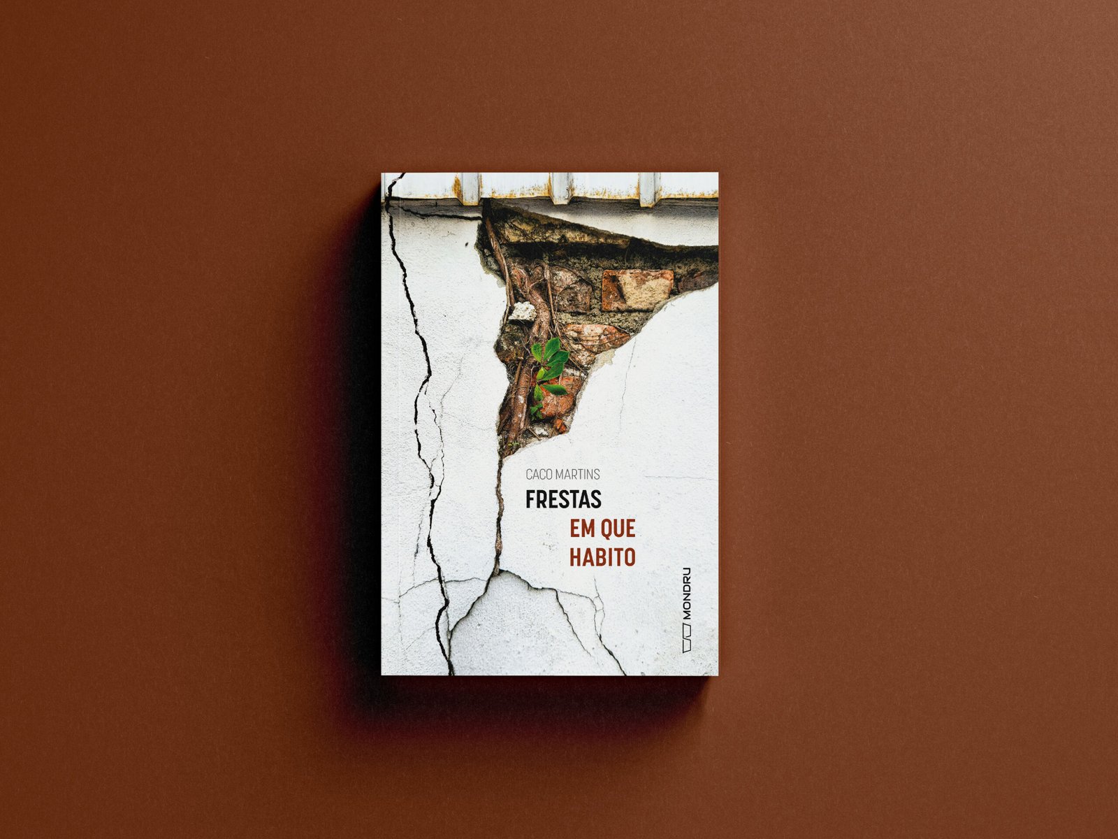 Frestas em que habito - Imagem 2