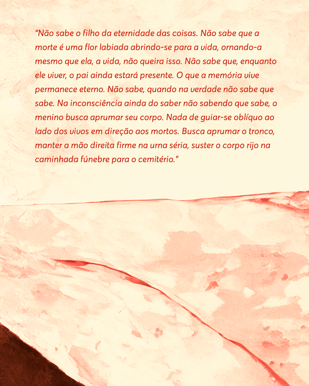 PRE-VENDA---EDITORA---O-menino-e-as-sombras-do-meninoPrancheta-4