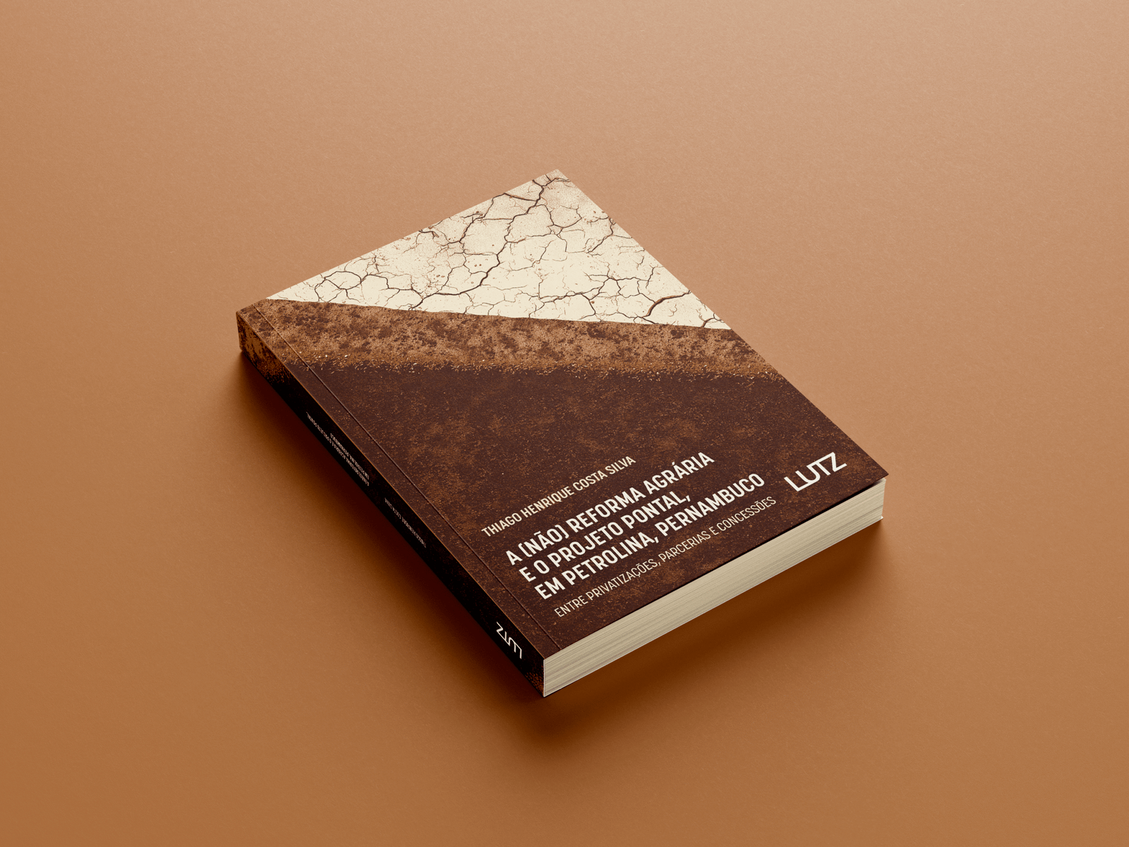 A (Não) Reforma Agrária e o Projeto Pontal, em Petrolina, Pernambuco: Entre Privatizações, Parcerias e Concessões - Imagem 3