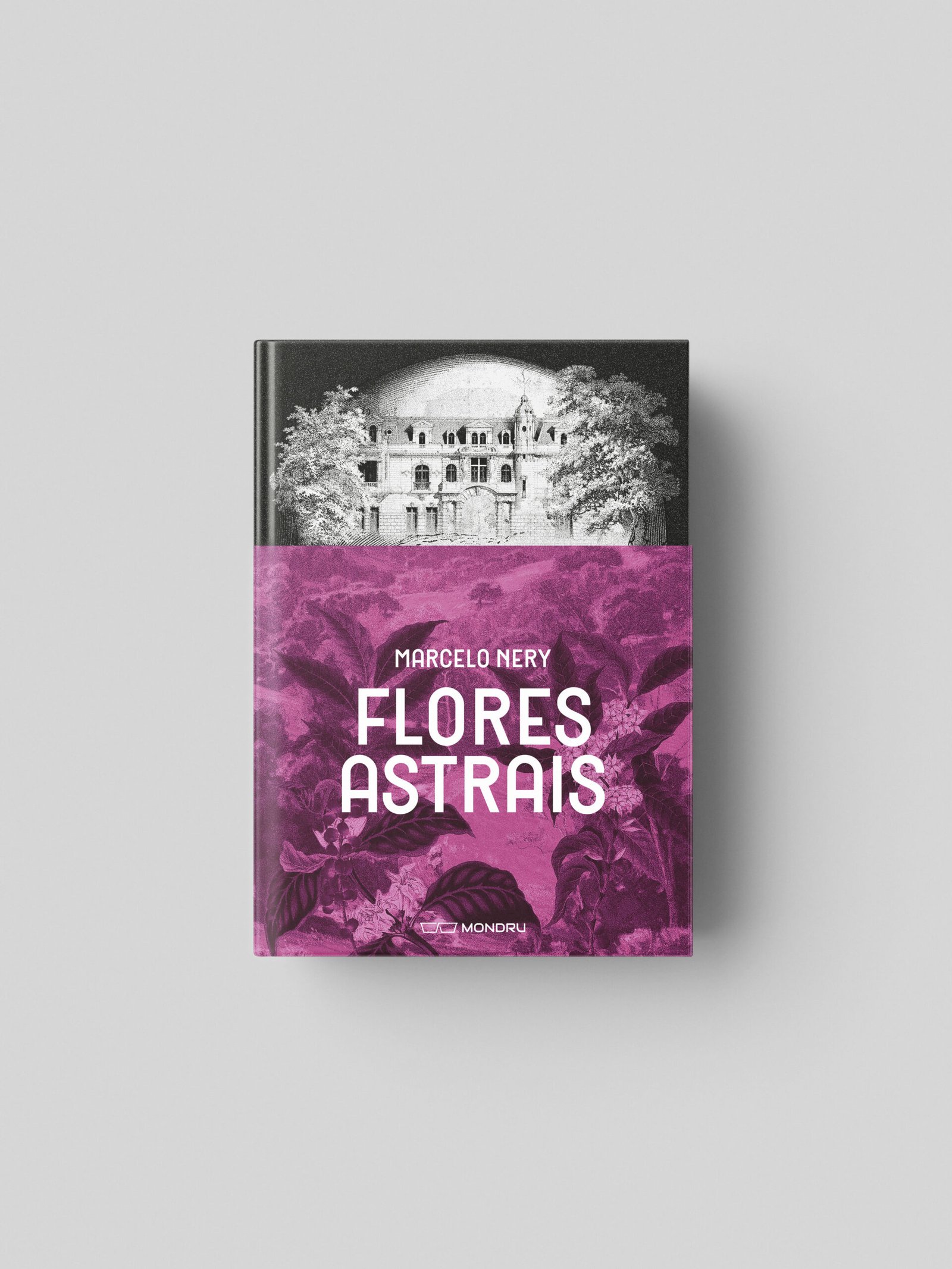 Flores Astrais - Imagem 2