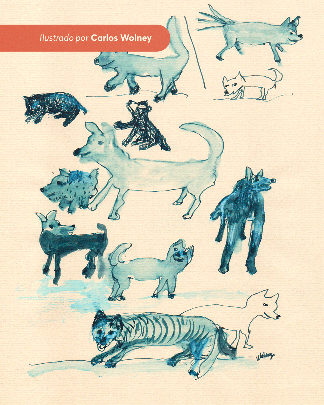 PRE-VENDA---EDITORA---Do-reaprendizado-da-paixãoPrancheta-6_1