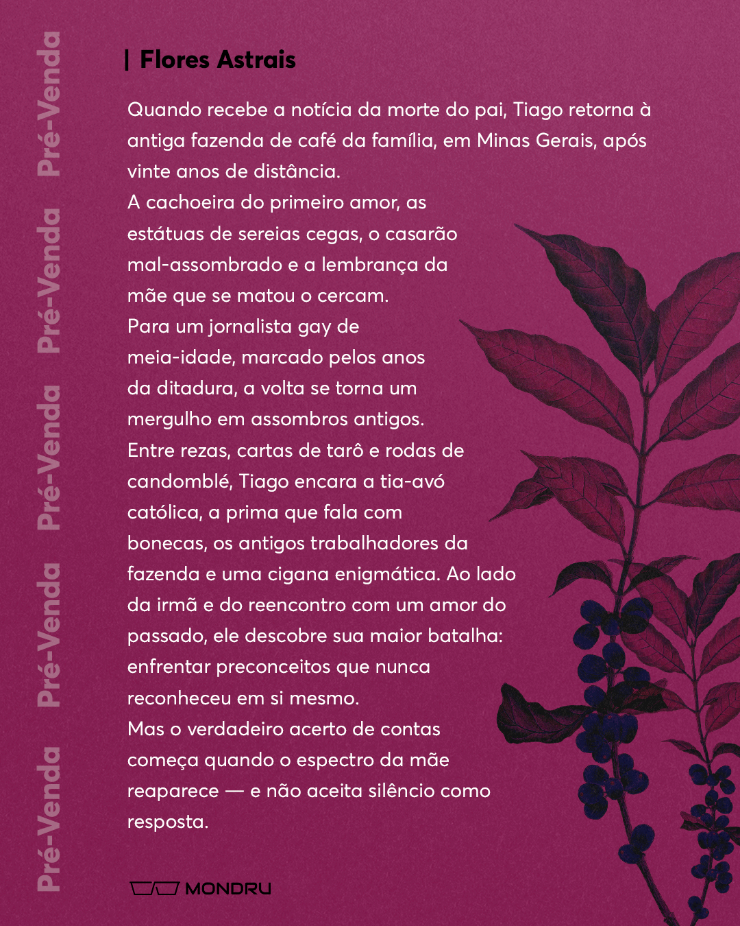 PRE-VENDA---EDITORA---flores-astraisPrancheta-2