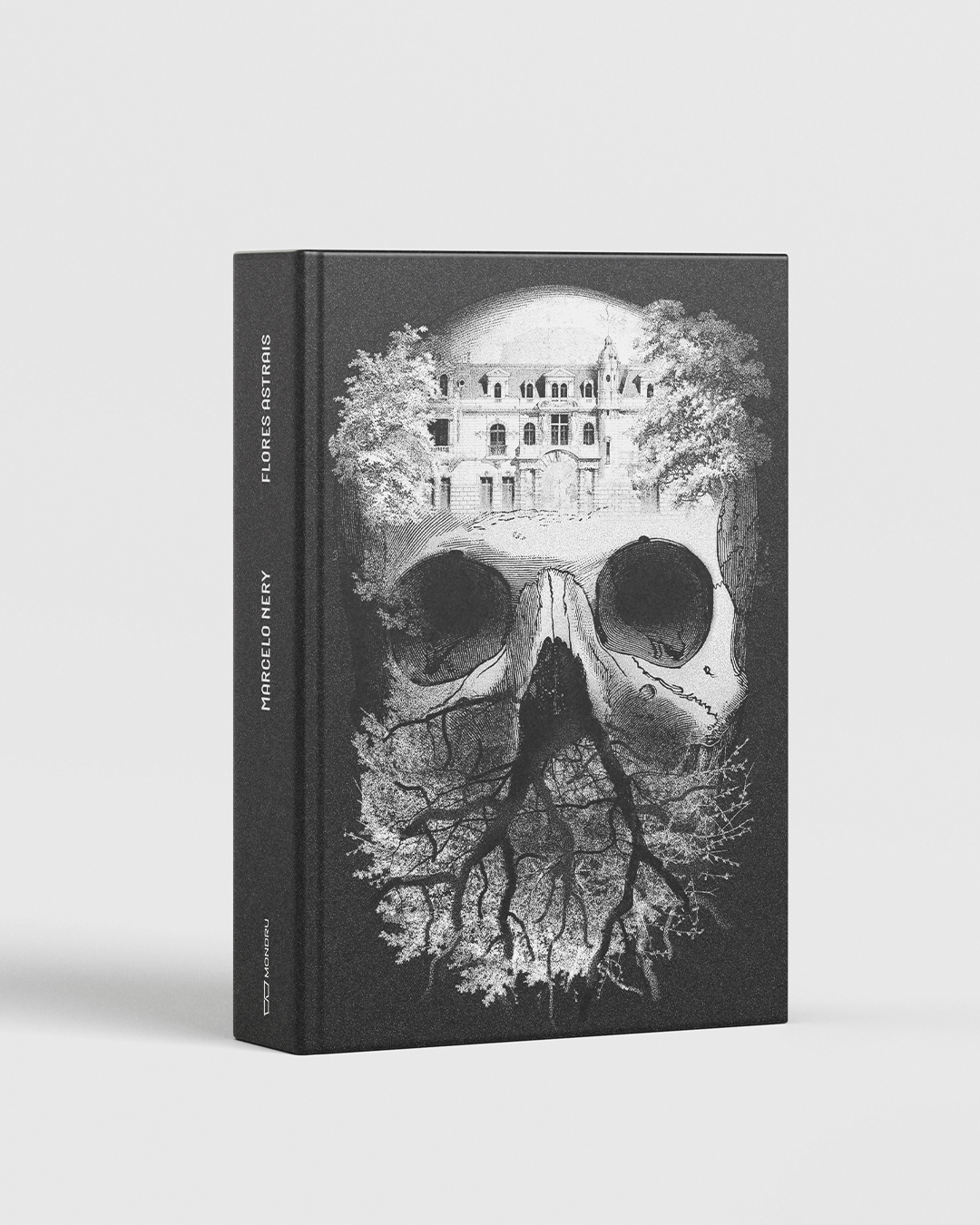 PRE-VENDA---EDITORA---flores-astraisPrancheta-3