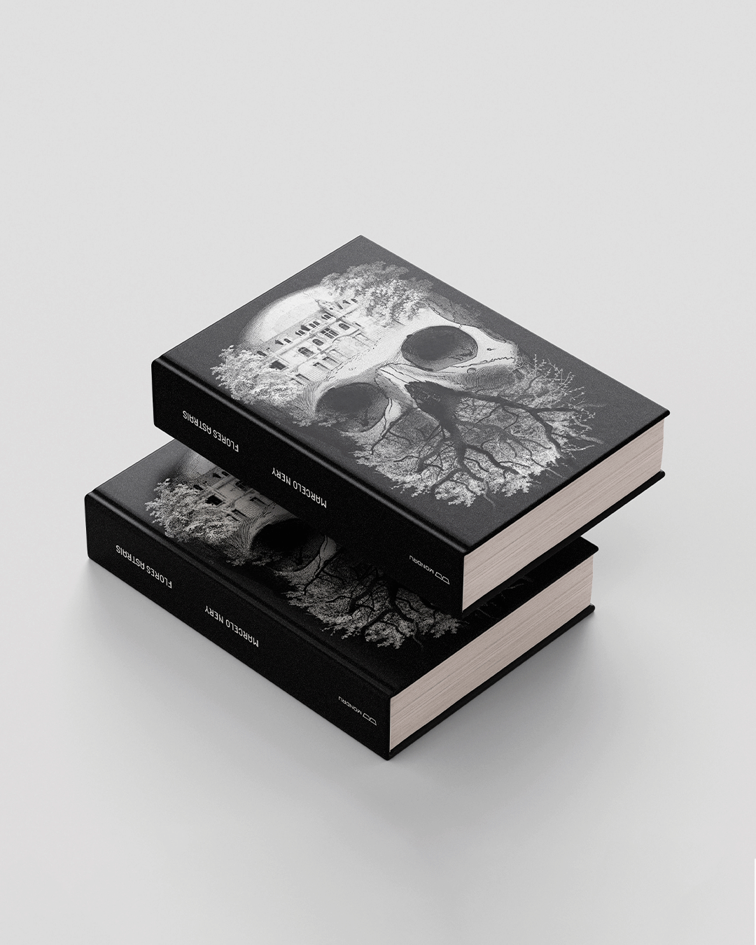 PRE-VENDA---EDITORA---flores-astraisPrancheta-5