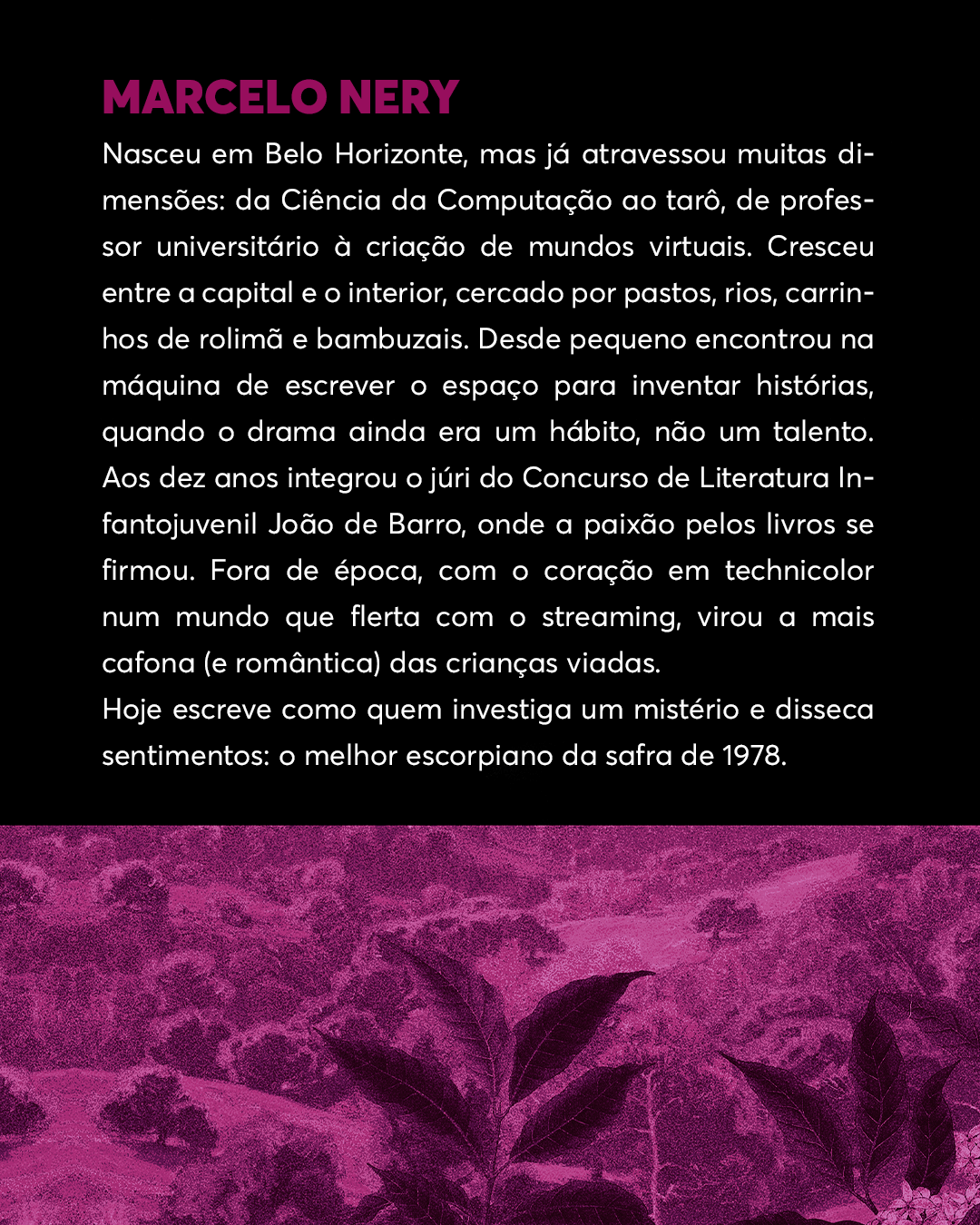 PRE-VENDA---EDITORA---flores-astraisPrancheta-6