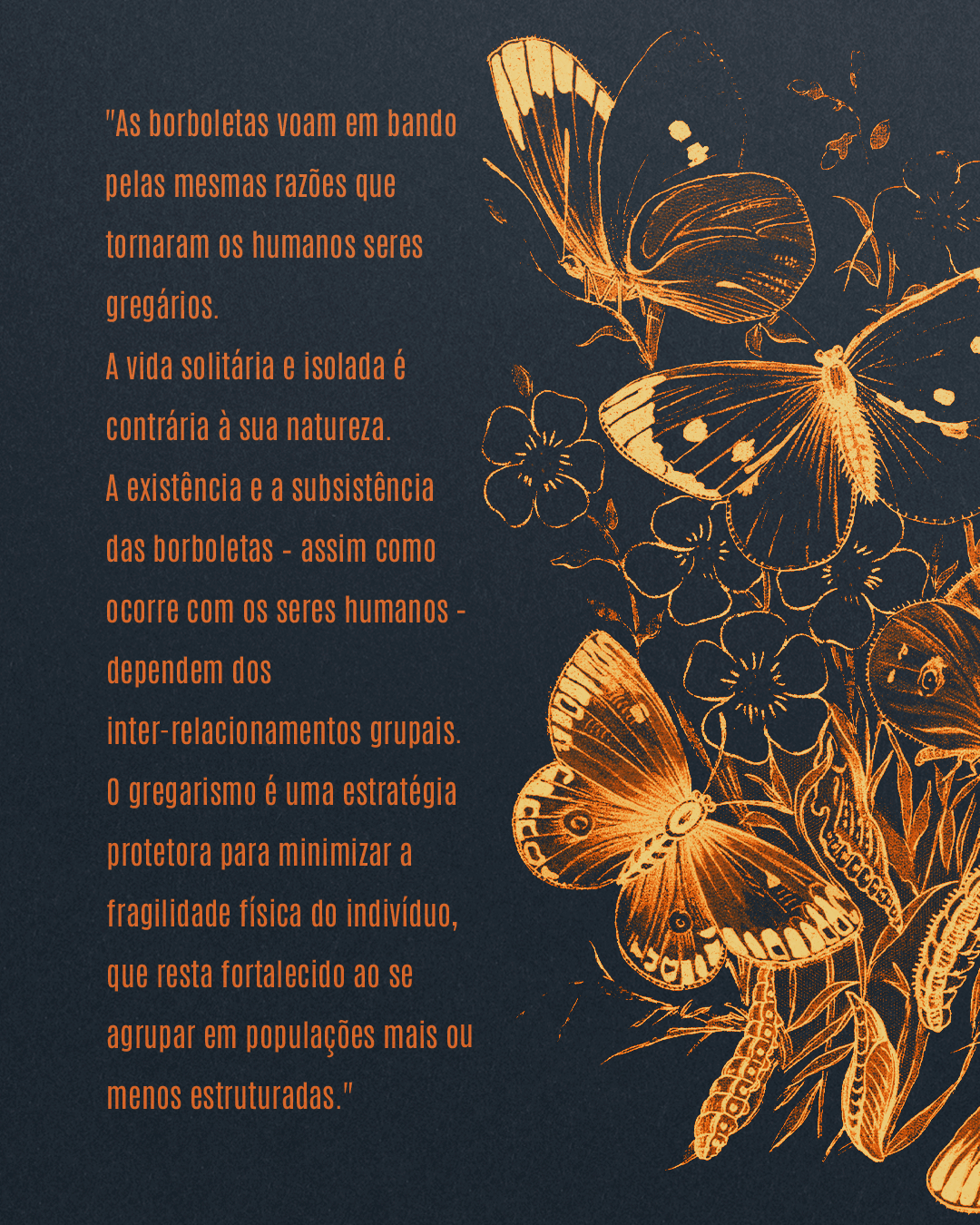 PRE-VENDA---EDITORA---Por-que-as-borboletasPrancheta-4