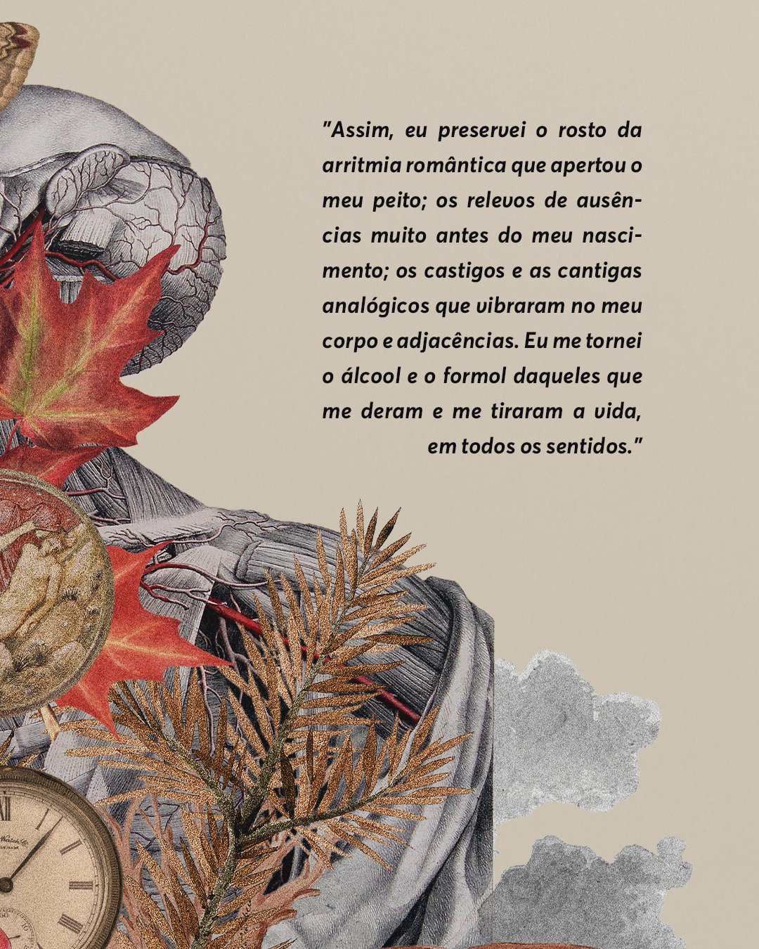 PRE-VENDA - EDITORA - Prancheta 1 copiar 2