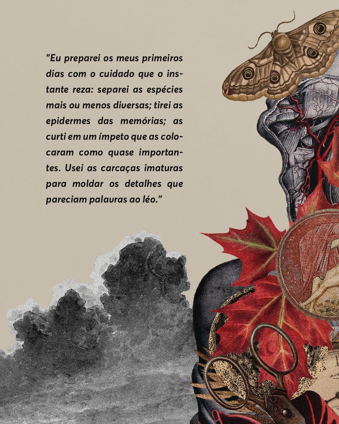 PRE-VENDA - EDITORA - Prancheta 4