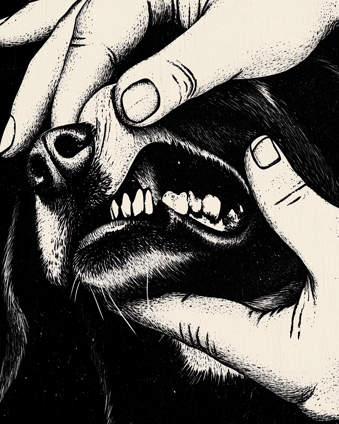 PRE-VENDA---EDITORA---Tendências-CaninasPrancheta-3