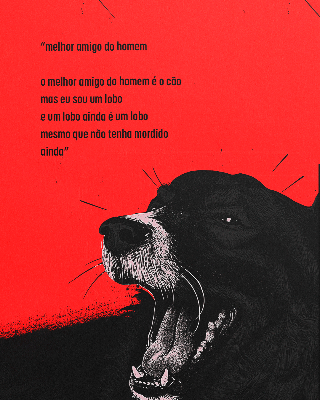 PRE-VENDA---EDITORA---Tendências-CaninasPrancheta-4