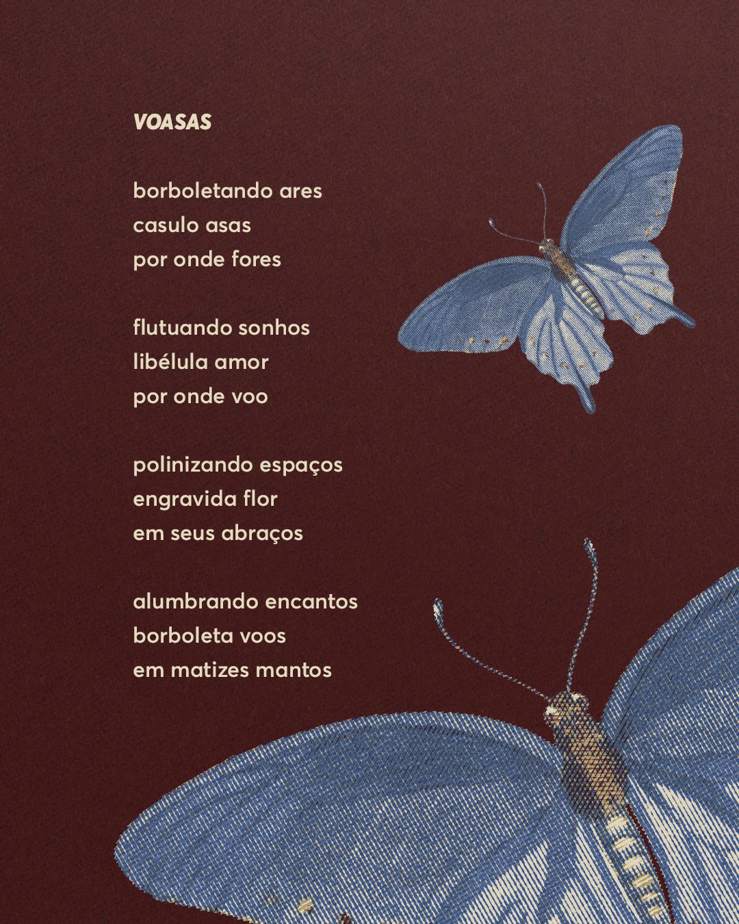 PRE-VENDA - EDITORA - 4