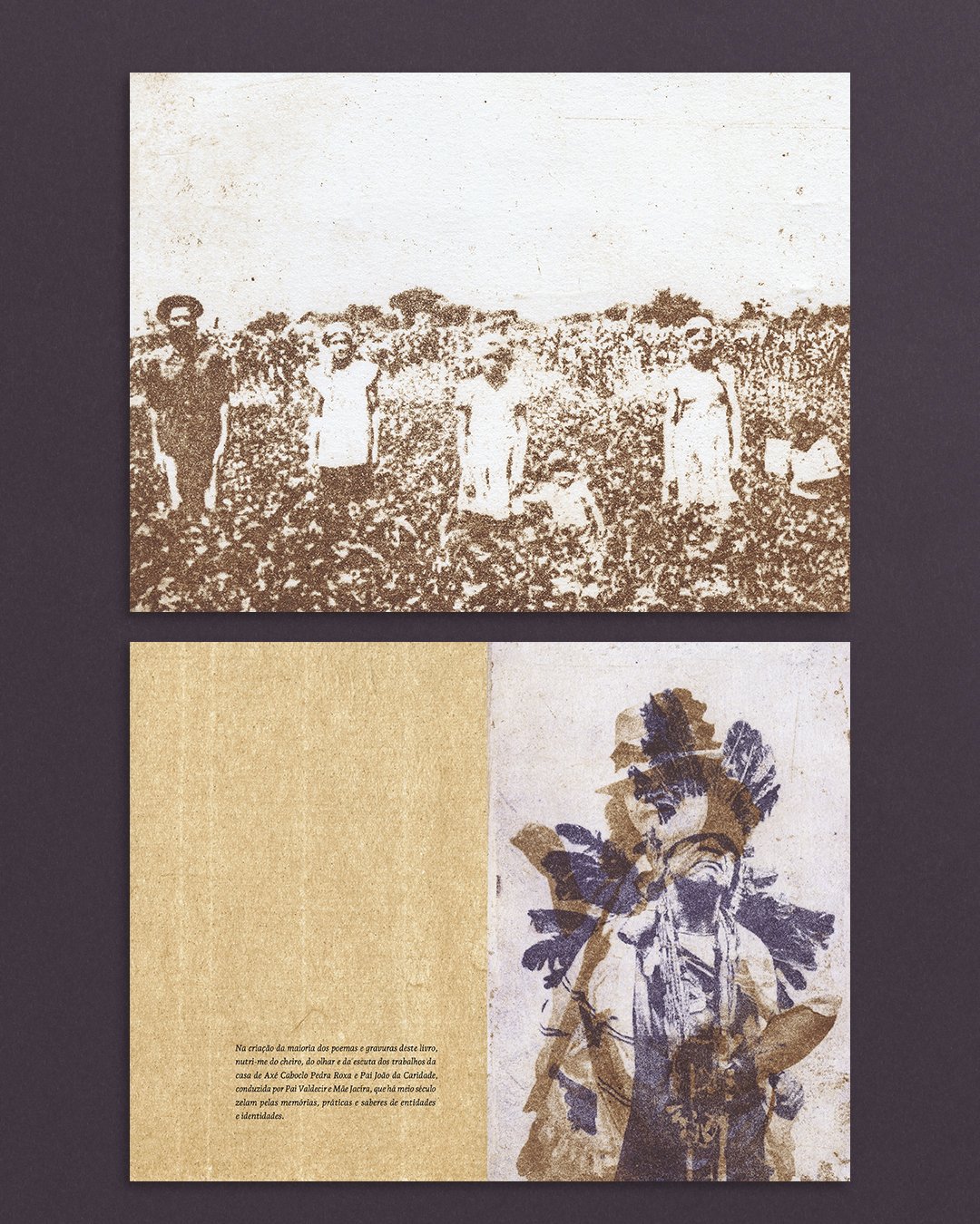 PRE-VENDA - EDITORA.psdPrancheta 4 copiar