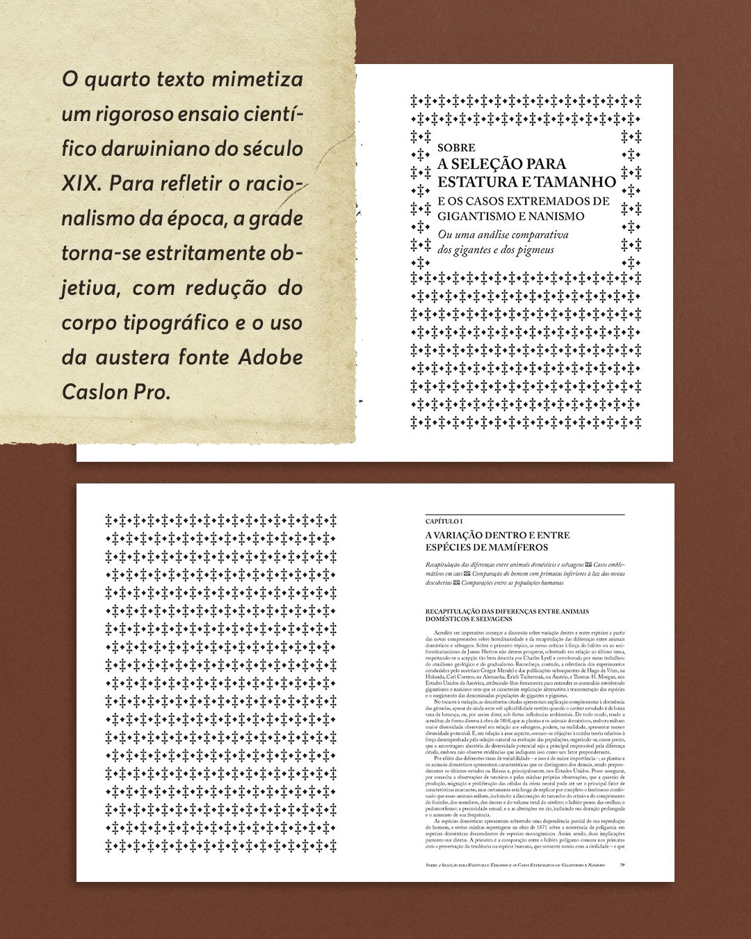 PRE-VENDA - EDITORAPrancheta 4 copiar 7